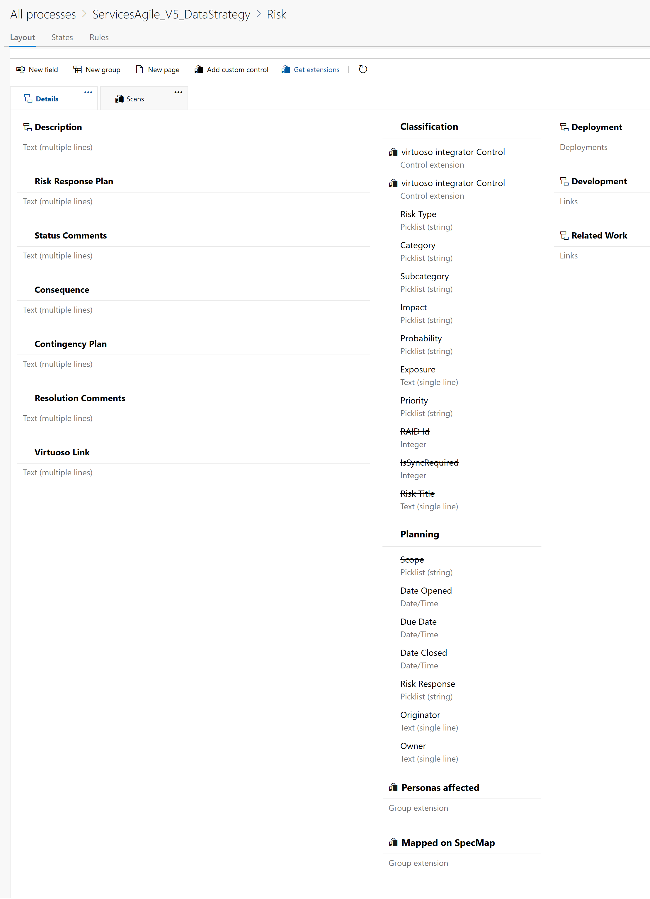 Data Strategy Risk Work Item Type